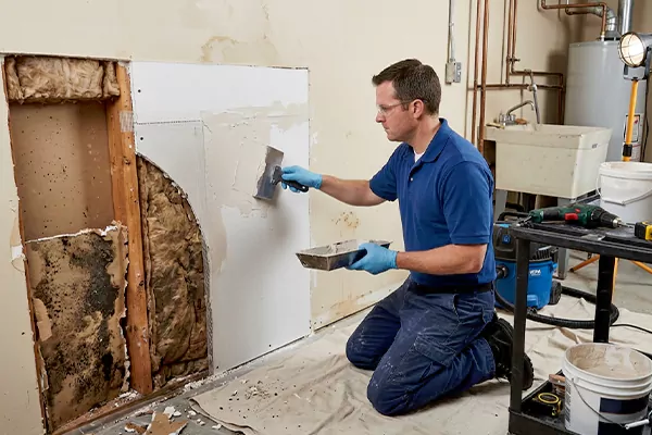 Mold and Drywall Repair Sandy