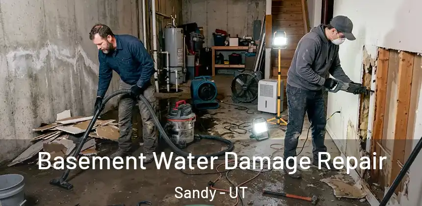  Basement Water Damage Repair Sandy - UT