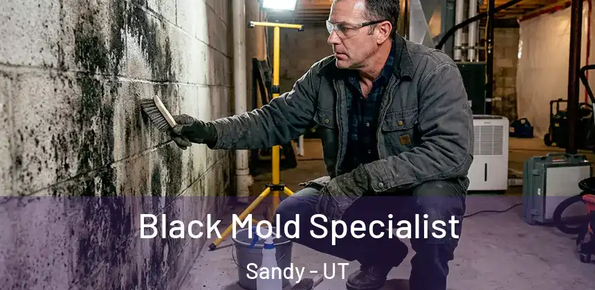 Black Mold Specialist Sandy - UT