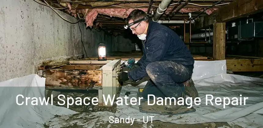  Crawl Space Water Damage Repair Sandy - UT