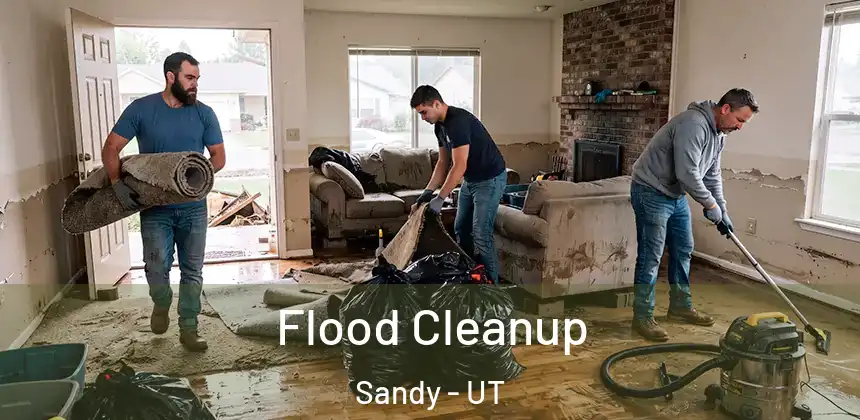 Flood Cleanup Sandy - UT
