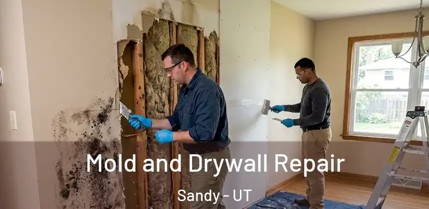 Mold and Drywall Repair Sandy - UT