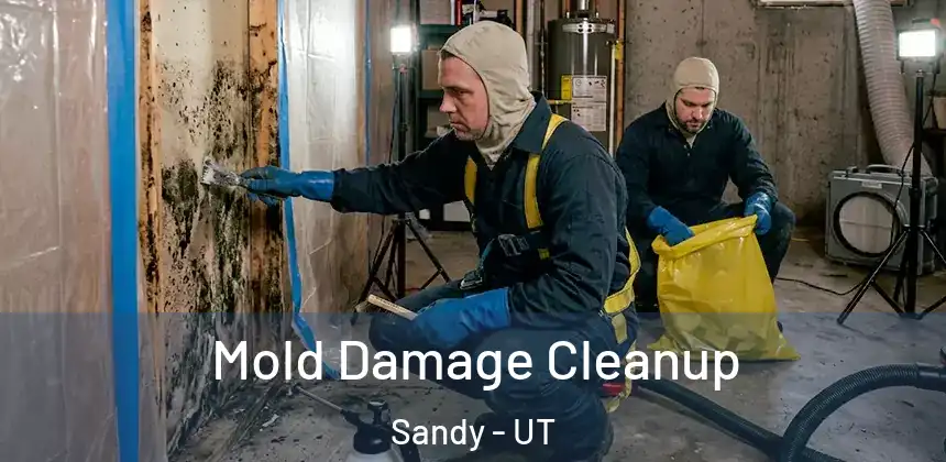 Mold Damage Cleanup Sandy - UT