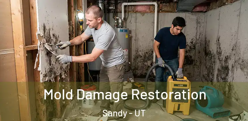 Mold Damage Restoration Sandy - UT
