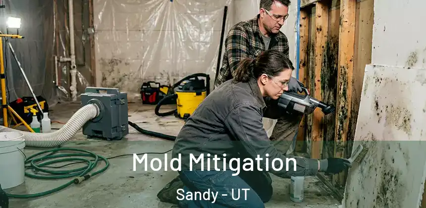 Mold Mitigation Sandy - UT