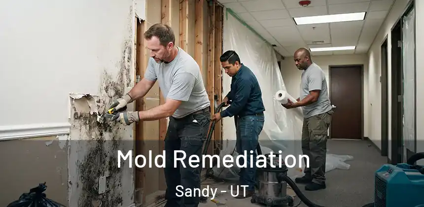 Mold Remediation Sandy - UT