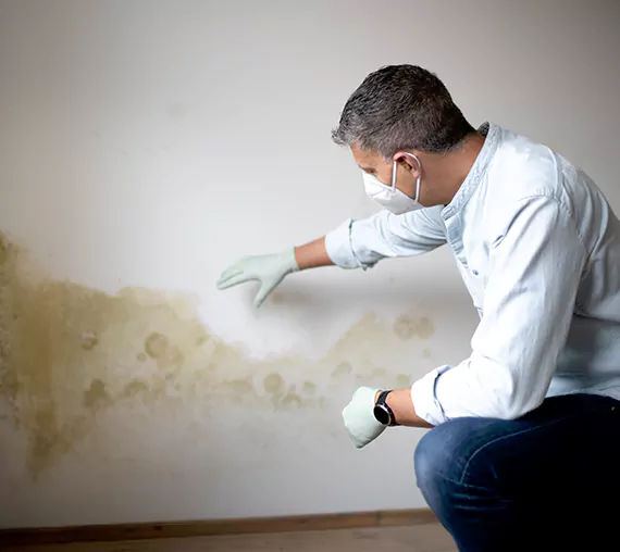 Mold Removal Service in Sandy, UT