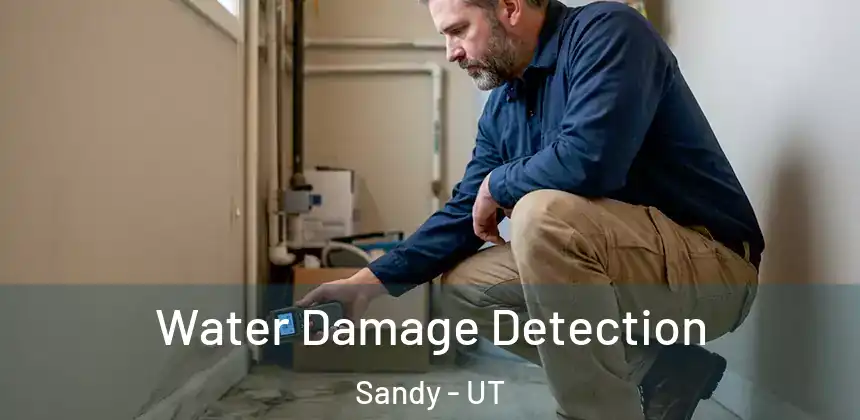 Water Damage Detection Sandy - UT
