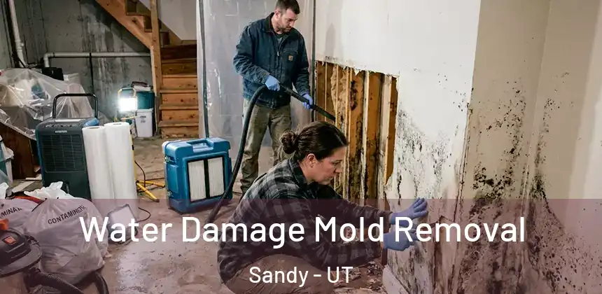 Water Damage Mold Removal Sandy - UT