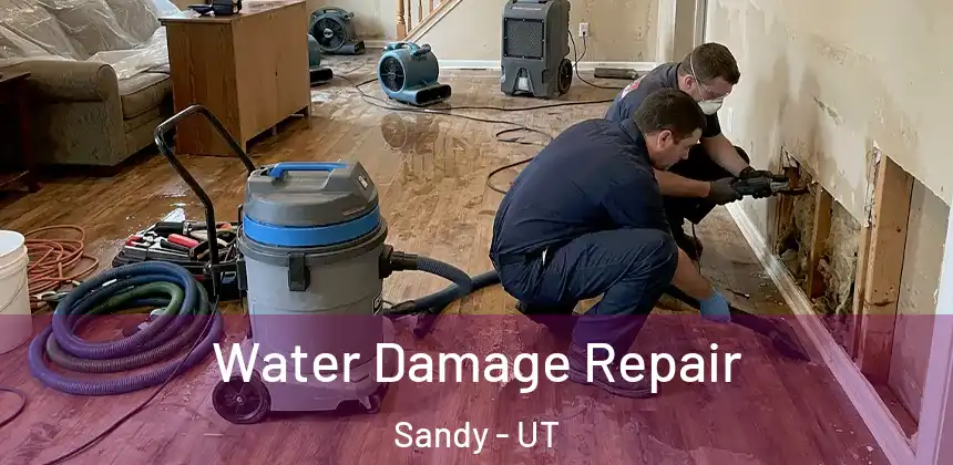 Water Damage Repair Sandy - UT