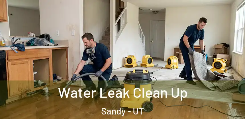 Water Leak Clean Up Sandy - UT