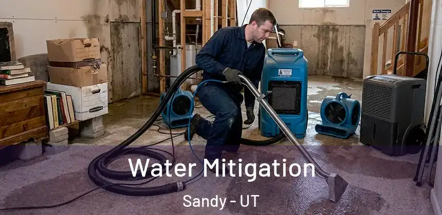 Water Mitigation Sandy - UT