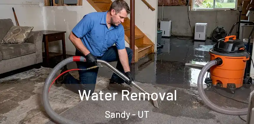 Water Removal Sandy - UT