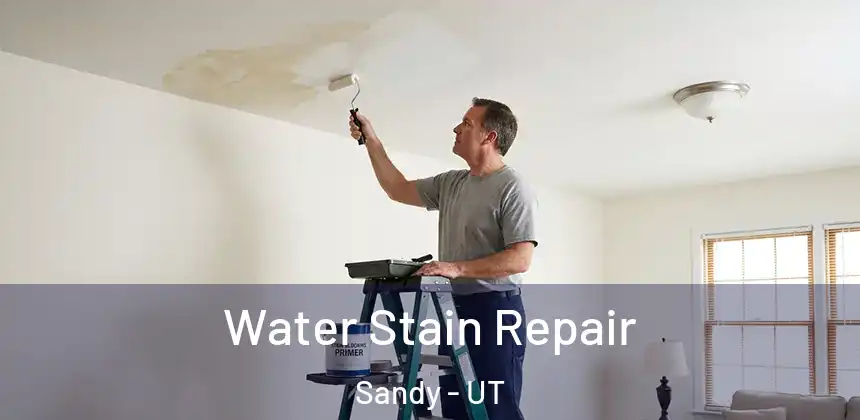  Water Stain Repair Sandy - UT